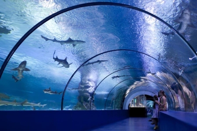 Aquarium